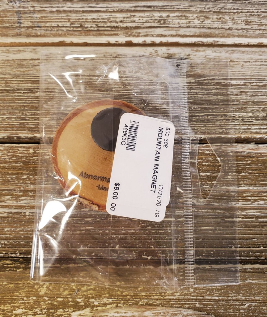 Mountain Birch Tree Magnet