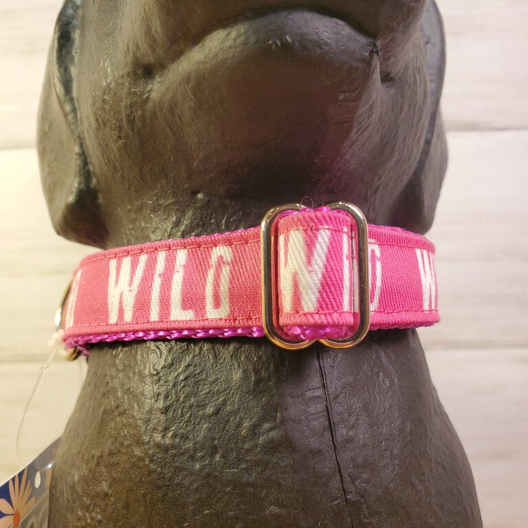 Wild Dog Collar Fuchsia