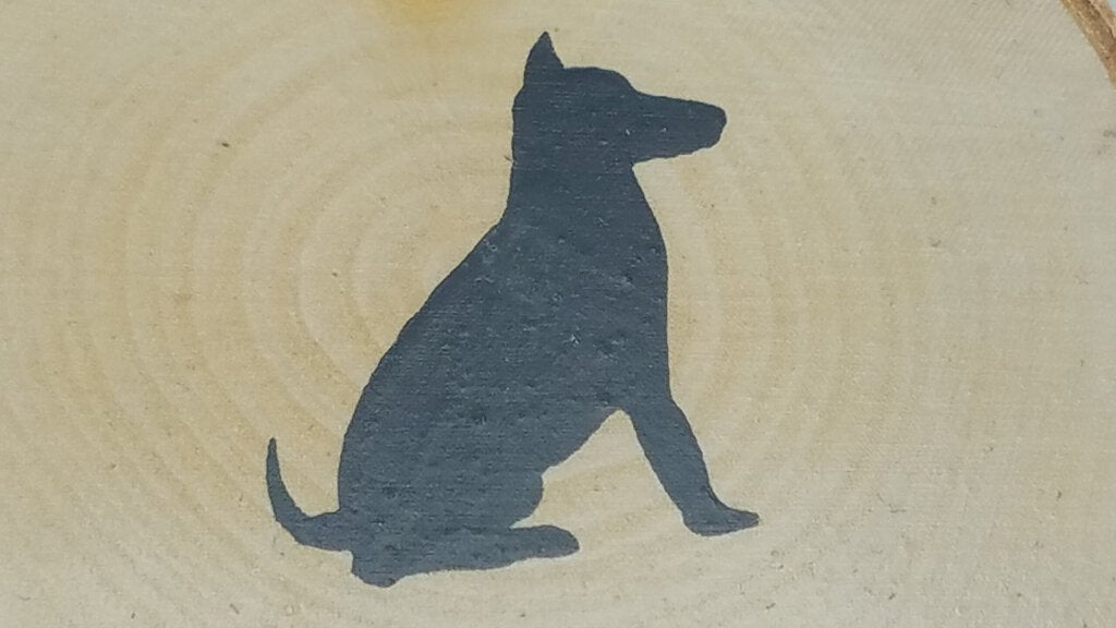 Dog Birch Tree Slice Coaster