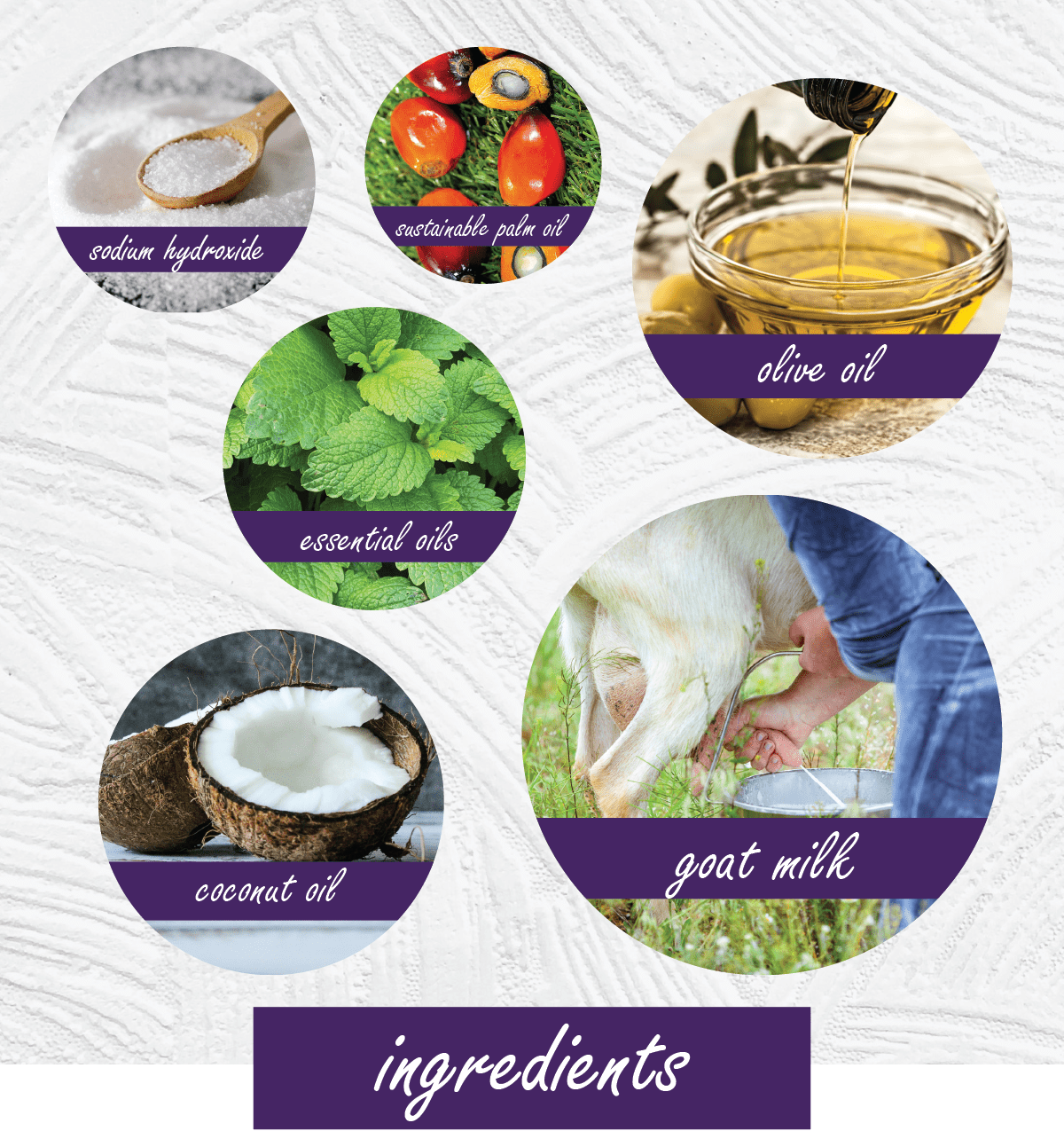 Ingredient graphic for a goat milk soap or shampoo, featuring six circular images labeled sodium hyaluronide, sustainable palm oil, essential oils, olive oil, coconut oil, and goat milk, with a purple banner reading 'ingredients' on a textured white background.