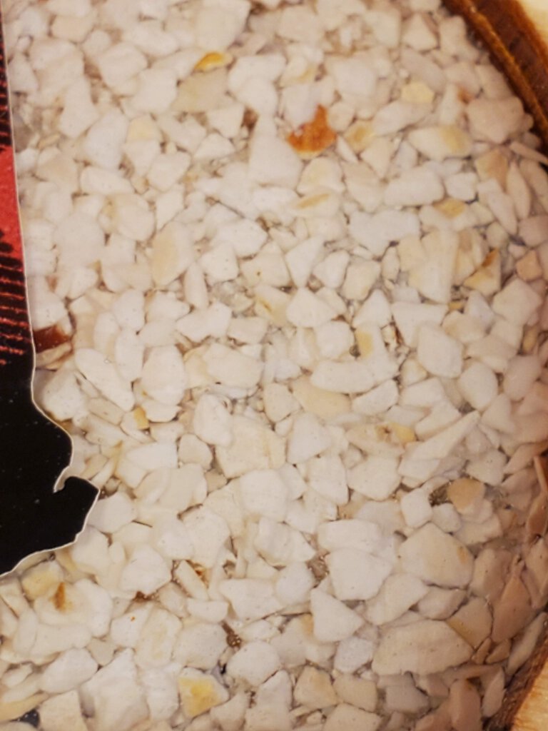 NH Crushed Shell Ornament
