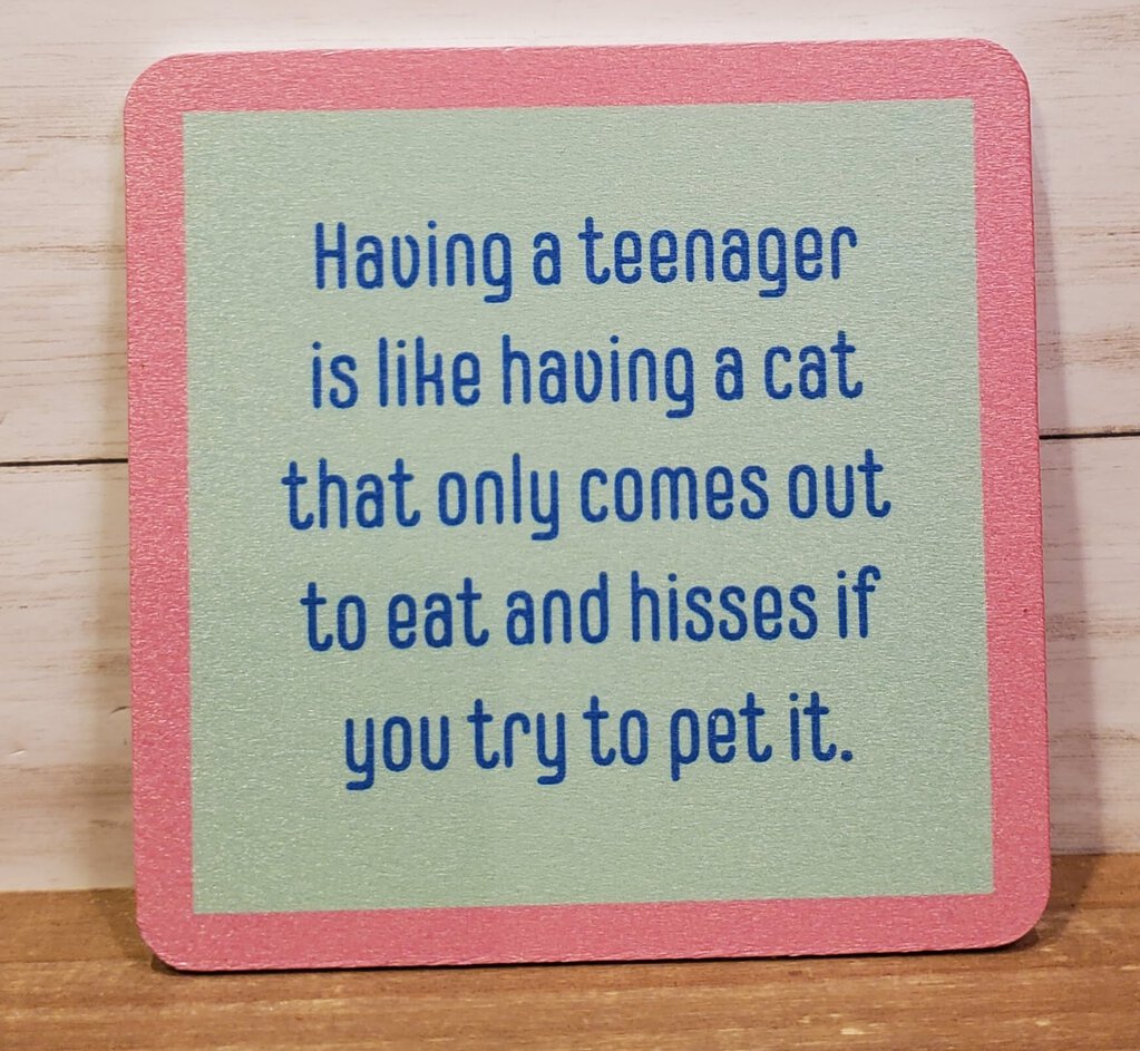 A square coaster with a green background and pink edges. The text on the coaster reads: 'Having a teenager is like having a cat that only comes out to eat and hisses if you try to pet it.