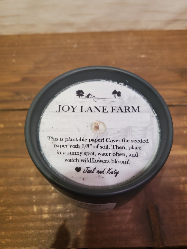 Northern Birch Ceramic Candle