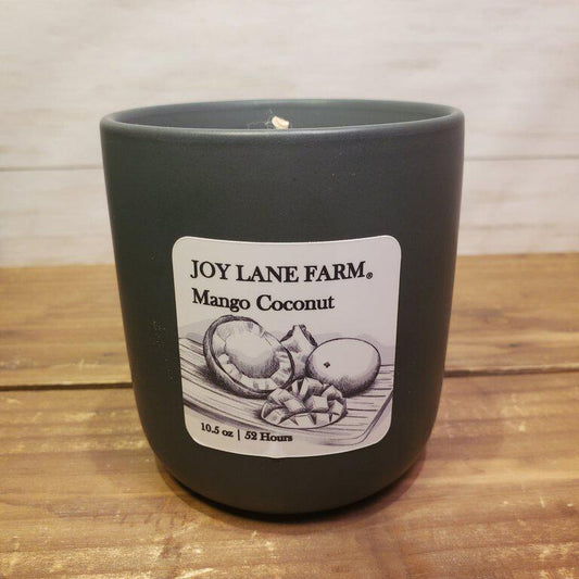 Mango Ceramic Candle