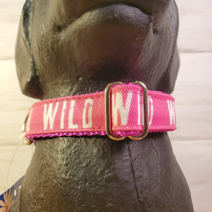 Wild Dog Collar Fuchsia