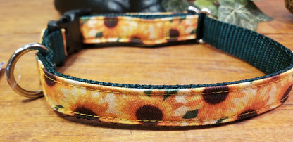 Sunflower Dog Collar