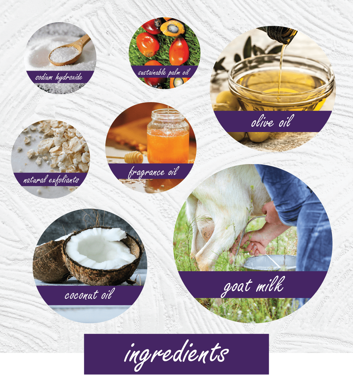An infographic-style ingredient collage for a goat milk soap or body wash, showing circular photos of various natural ingredients with purple labels: citronellol hydrance, natural pale oil, olive oil, natural exfoliants, fragrance oil, coconut oil, and goat milk. The word 'ingredients' appears at the bottom on a white textured background.
