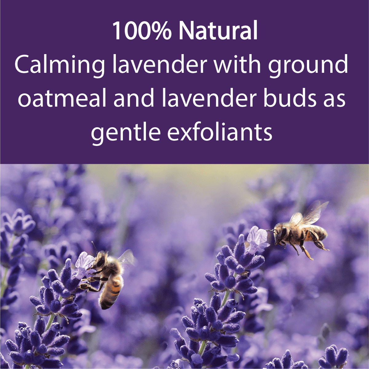 A promotional graphic with a purple header reading '100% Natural Calming lavender with ground oatmeal and lavender buds as gentle exfoliants' above a photo of bees pollinating purple lavender flowers.