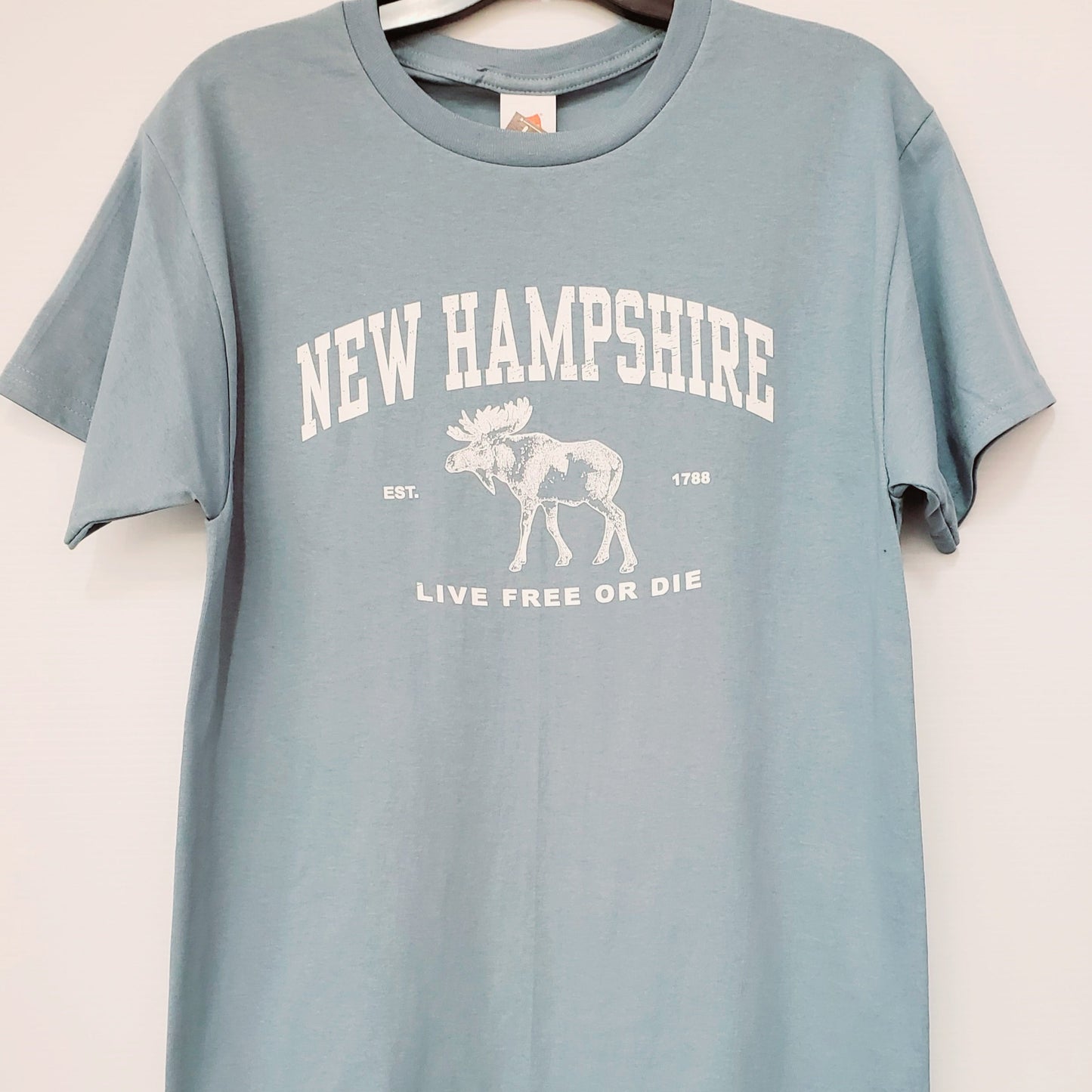Blue t-shirt with 'New Hampshire' and moose graphic on a white background