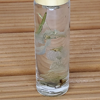 All Natural Mountain Rain Roll-On Fragrance Oil