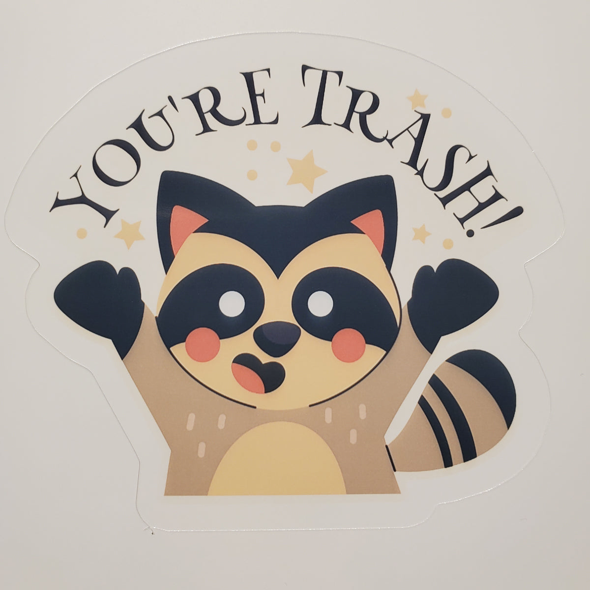 Trash Panda "You're Trash!" Sticker