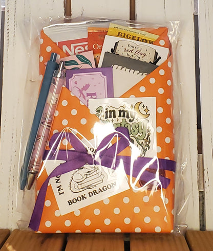 Holiday Wrapped Blind with a Book