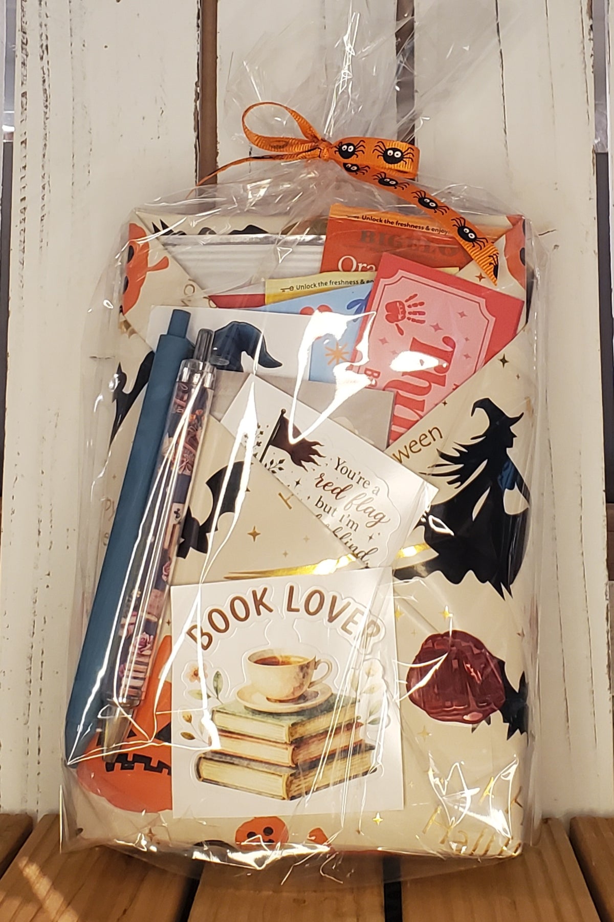 Holiday Wrapped Blind with a Book