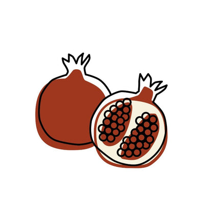 Illustration of a pomegranate and a cut-open pomegranate on a white background