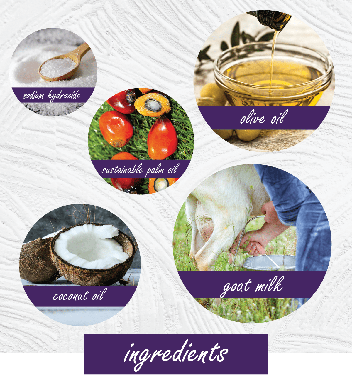 An infographic detailing the ingredients of a goat milk soap, featuring five circular images with purple labels: sodium hydroxide, sustainable palm oil, coconut oil, olive oil, and goat milk. The bottom features a purple banner with the word 'ingredients' in white script.