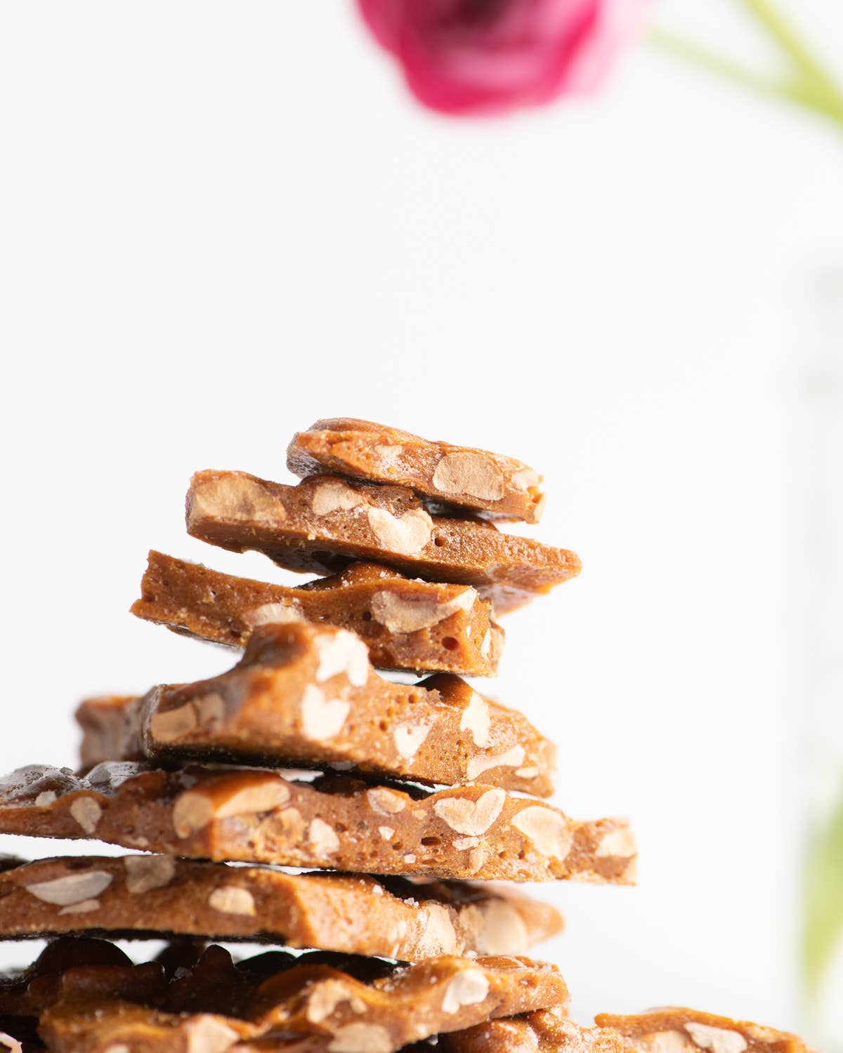 Allagash Beer Brittle