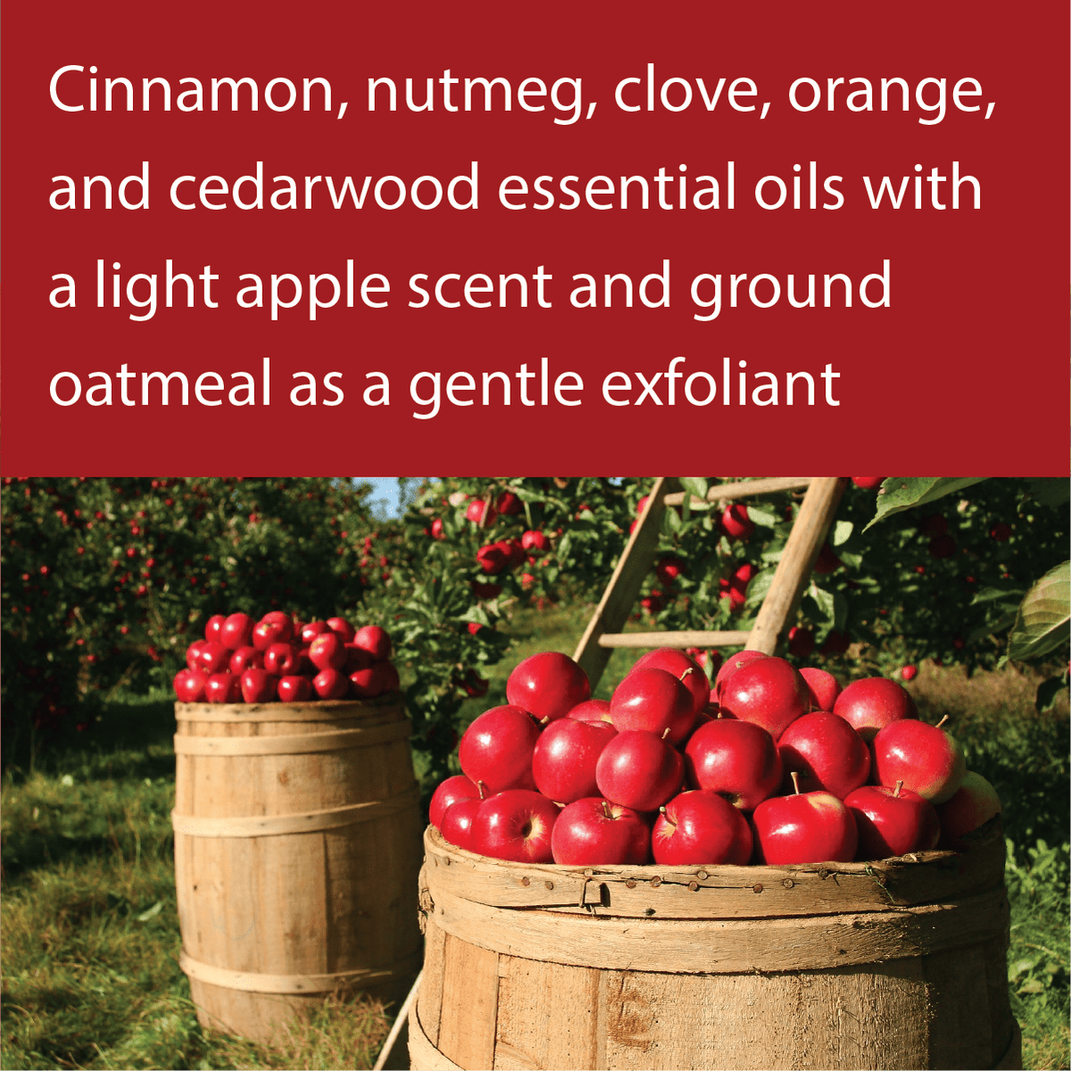 A promotional graphic with a red banner at the top containing text about essential oils and apple scent, above a photo of red apples in wooden barrels in an orchard.