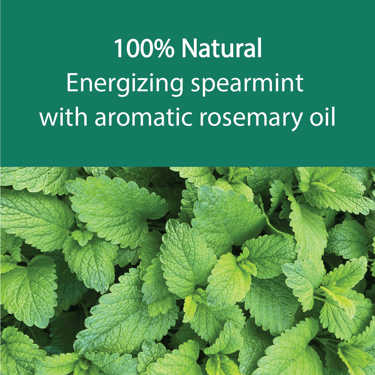 A promotional graphic with a dark green text banner reading '100% Natural Energizing spearmint with aromatic rosemary oil' above a close-up photo of fresh green spearmint leaves.