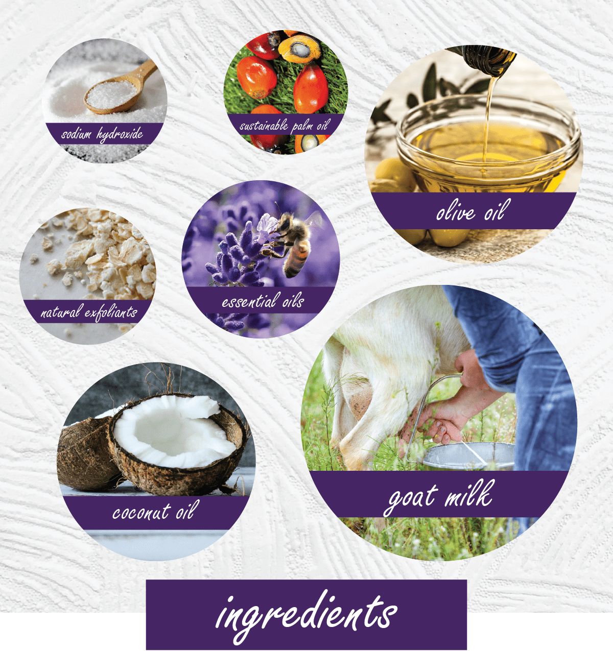 An infographic-style ingredient collage on a white textured background with purple labels. The circles show and name: cedar hydrobrite, natural palm oil, olive oil, natural exfoliant, essential oils, coconut oil, and goat milk.