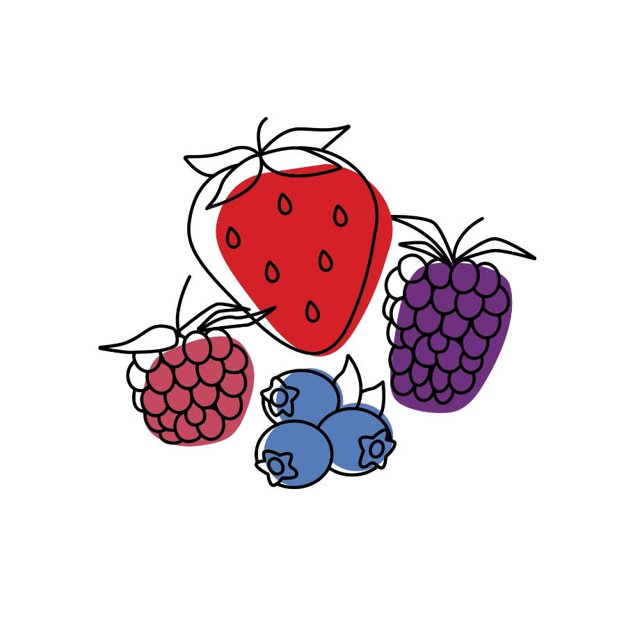 Illustration of a strawberry, raspberry, blueberry, and grapes on a white background