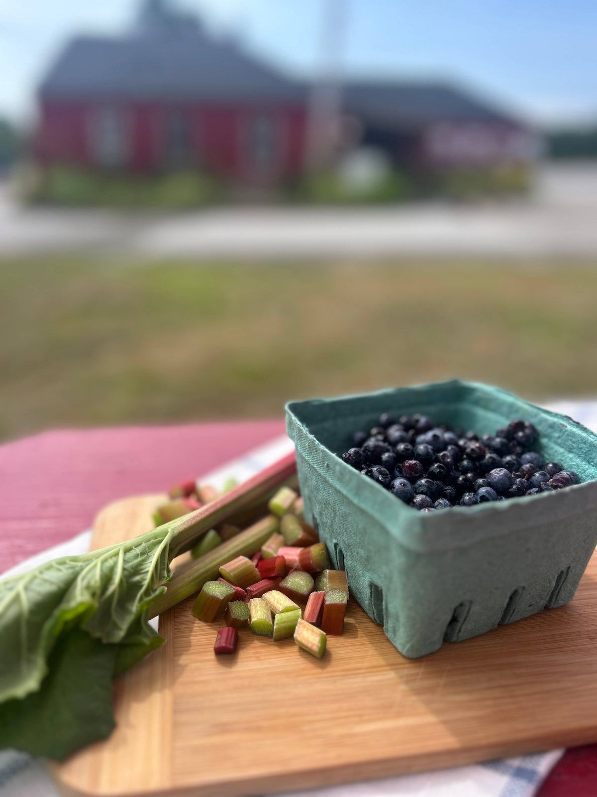 A small green paper berry carton filled with blueberries sits on a wooden board beside chopped rhubarb stalks and leaves, with a blurred outdoor background showing a red building and grass.
