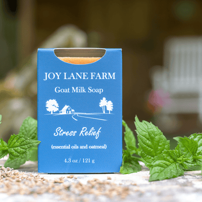 A blue soap bar box labeled Joy Lane Farm Goat Milk Soap, Stress Relief, standing on a stone surface with mint leaves and dried botanicals around it. The background is softly blurred outdoor scenery.