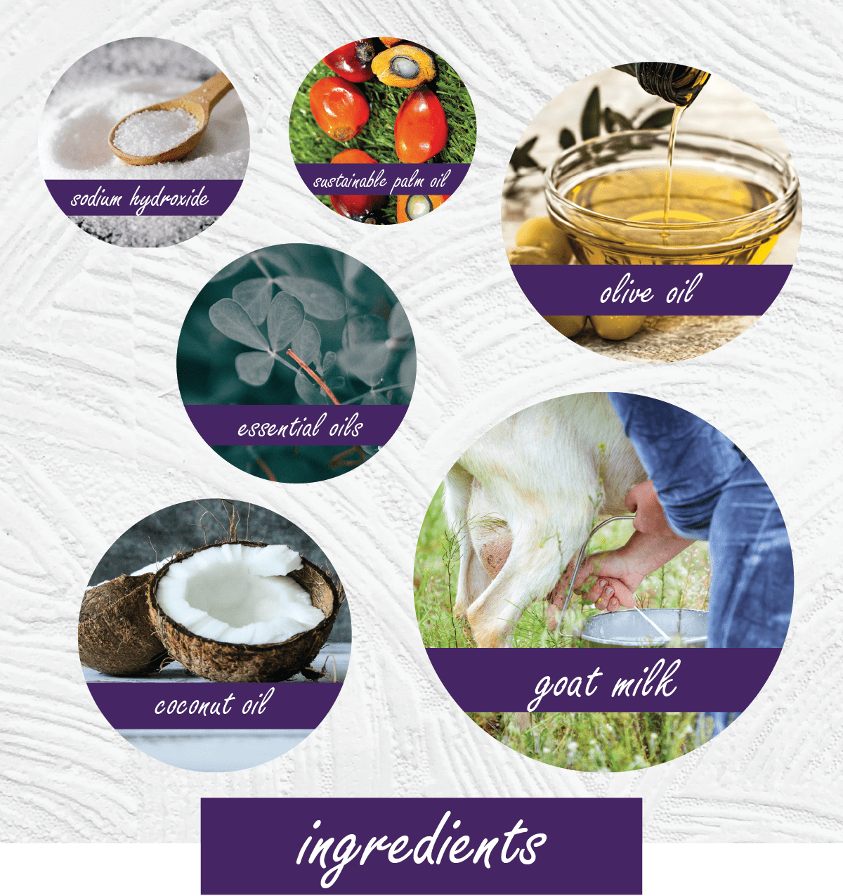 An infographic detailing the ingredients of a goat milk soap, featuring six circular images with purple labels: sodium hydride, sustainable palm oil, olive oil, essential oils, coconut oil, and goat milk. The background is a white textured pattern resembling soap or plaster.