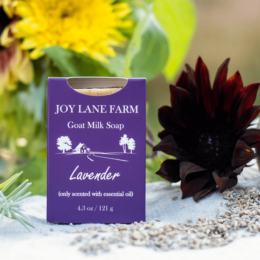 A purple box of Joy Lane Farm Goat Milk Soap, Lavender scent, displayed on a light surface with dried lavender and blurred yellow flowers in the background.