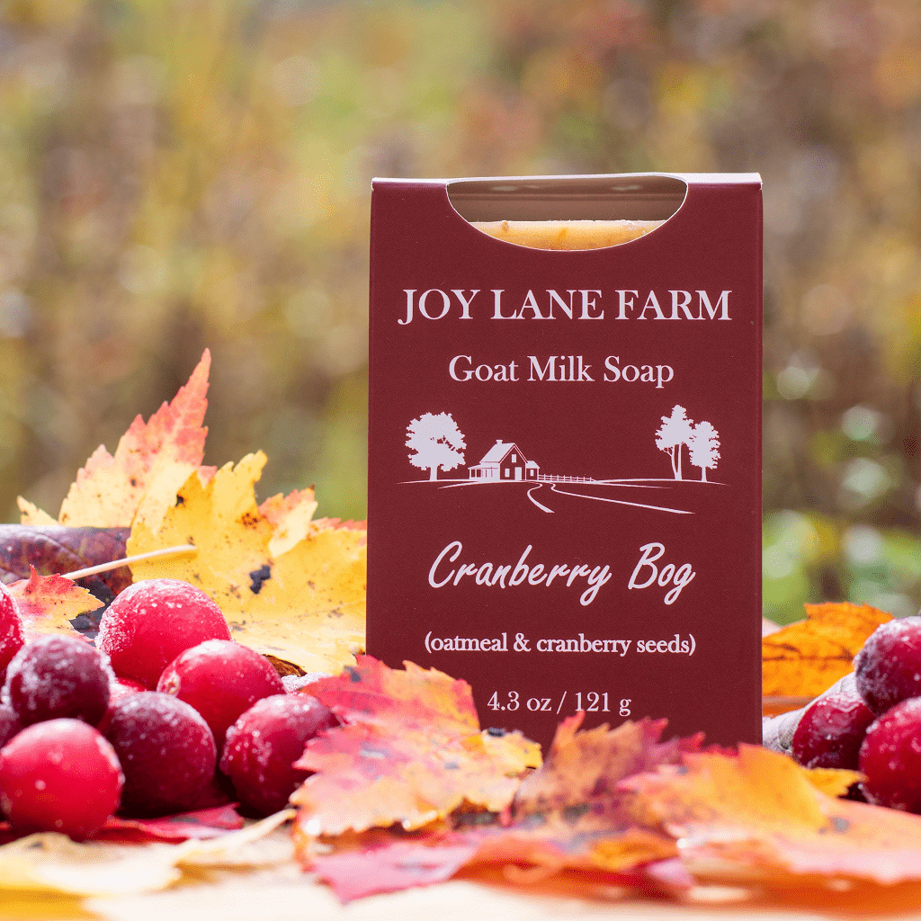 A box of Joy Lane Farm Goat Milk Soap, Cranberry Bag, styled with fresh cranberries and autumn leaves on a blurred outdoor background.