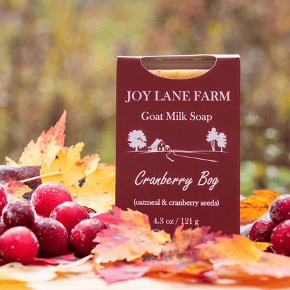 A box of Joy Lane Farm Goat Milk Soap, Cranberry Bag, styled with fresh cranberries and autumn leaves on a blurred outdoor background.