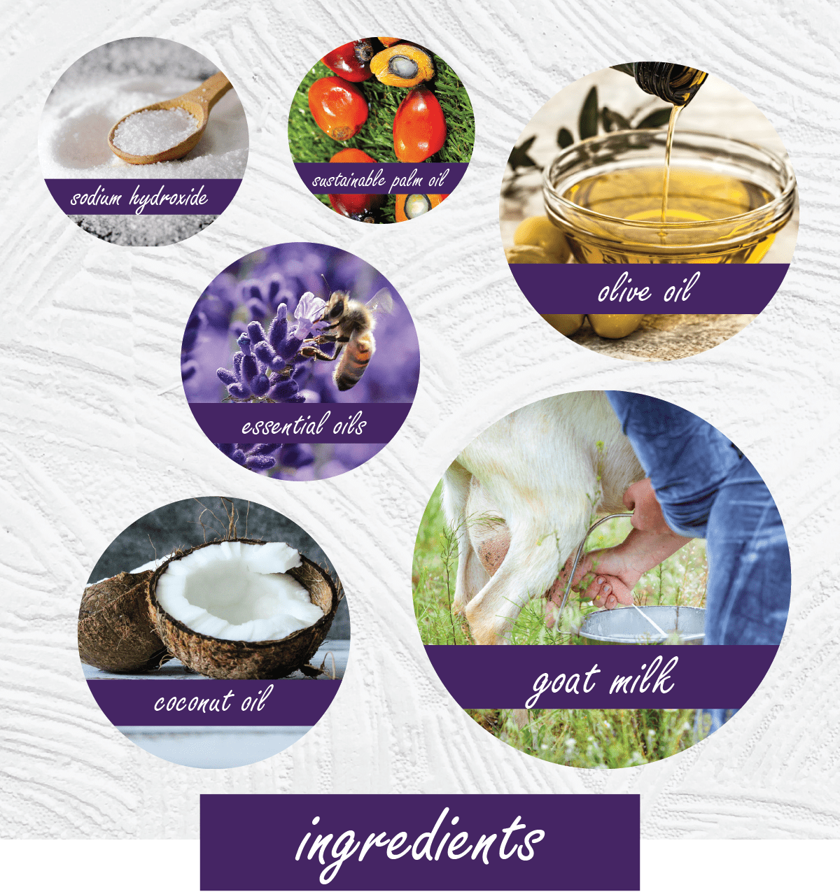 An infographic detailing the ingredients of a cosmetic product, featuring six circular images with purple labels: sodium hyaluronate, sustainable palm oil, olive oil, essential oils, coconut oil, and goat milk, all arranged on a textured white background with the word 'ingredients' at the bottom.