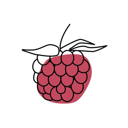Raspberry Pi logo with a red raspberry and black outline on a white background