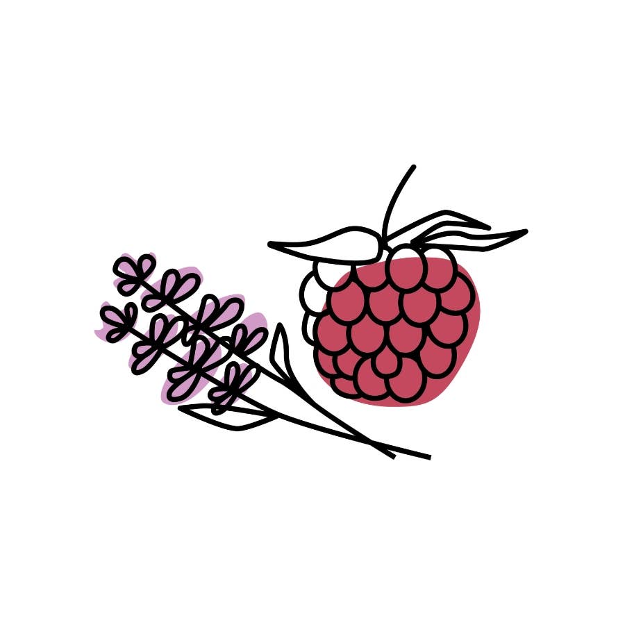 Illustration of a raspberry and lavender on a white background