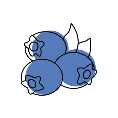 Illustration of blueberries with a white background