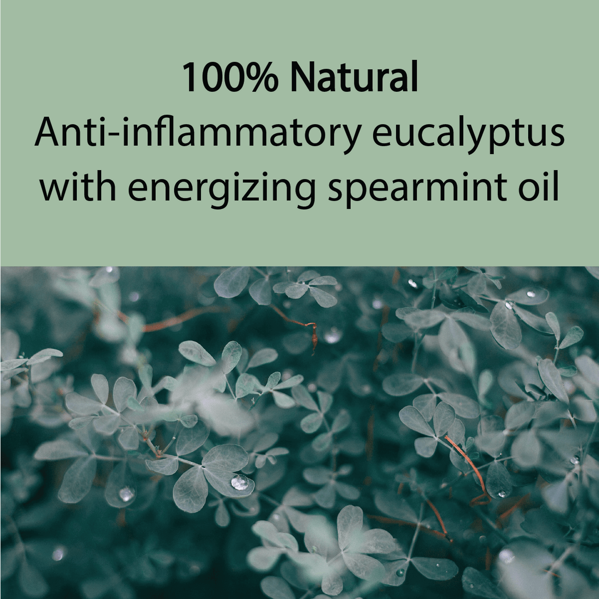 Text about 100% natural eucalyptus and spearmint oil with a background of green leaves.